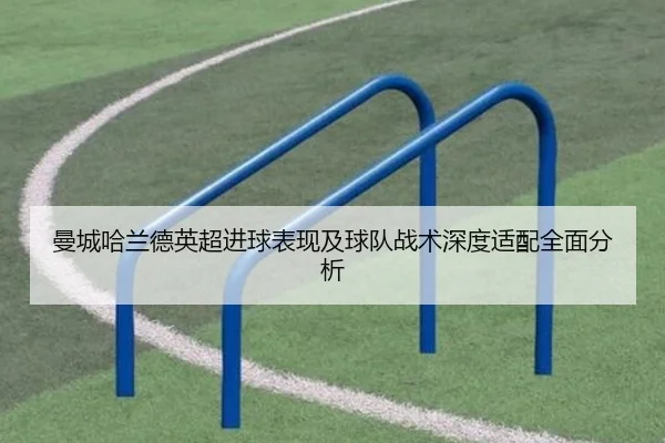 曼城哈兰德英超进球表现及球队战术深度适配全面分析 | OGGaming